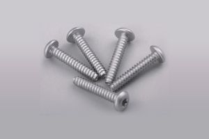 Internal Torx Pan Head Dacromet Screw